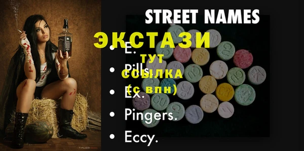 ECSTASY Богородск