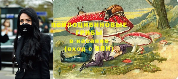 шишки Богданович