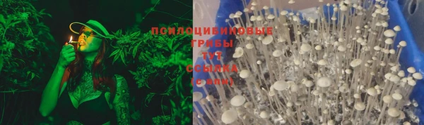 шишки Бугульма