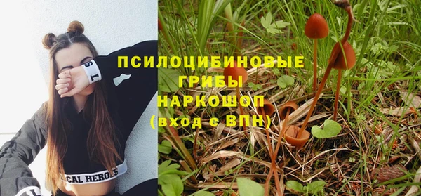 гашиш Белокуриха